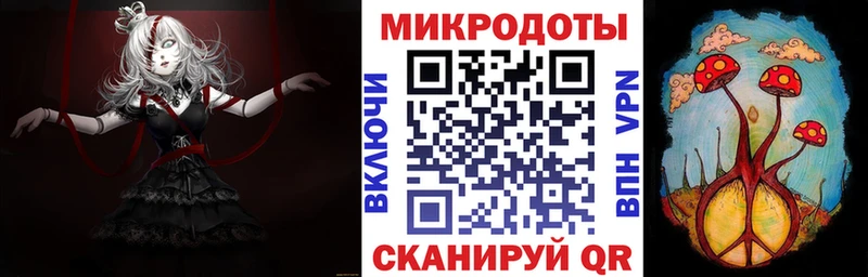 Галлюциногенные грибы Cubensis  Кедровый 